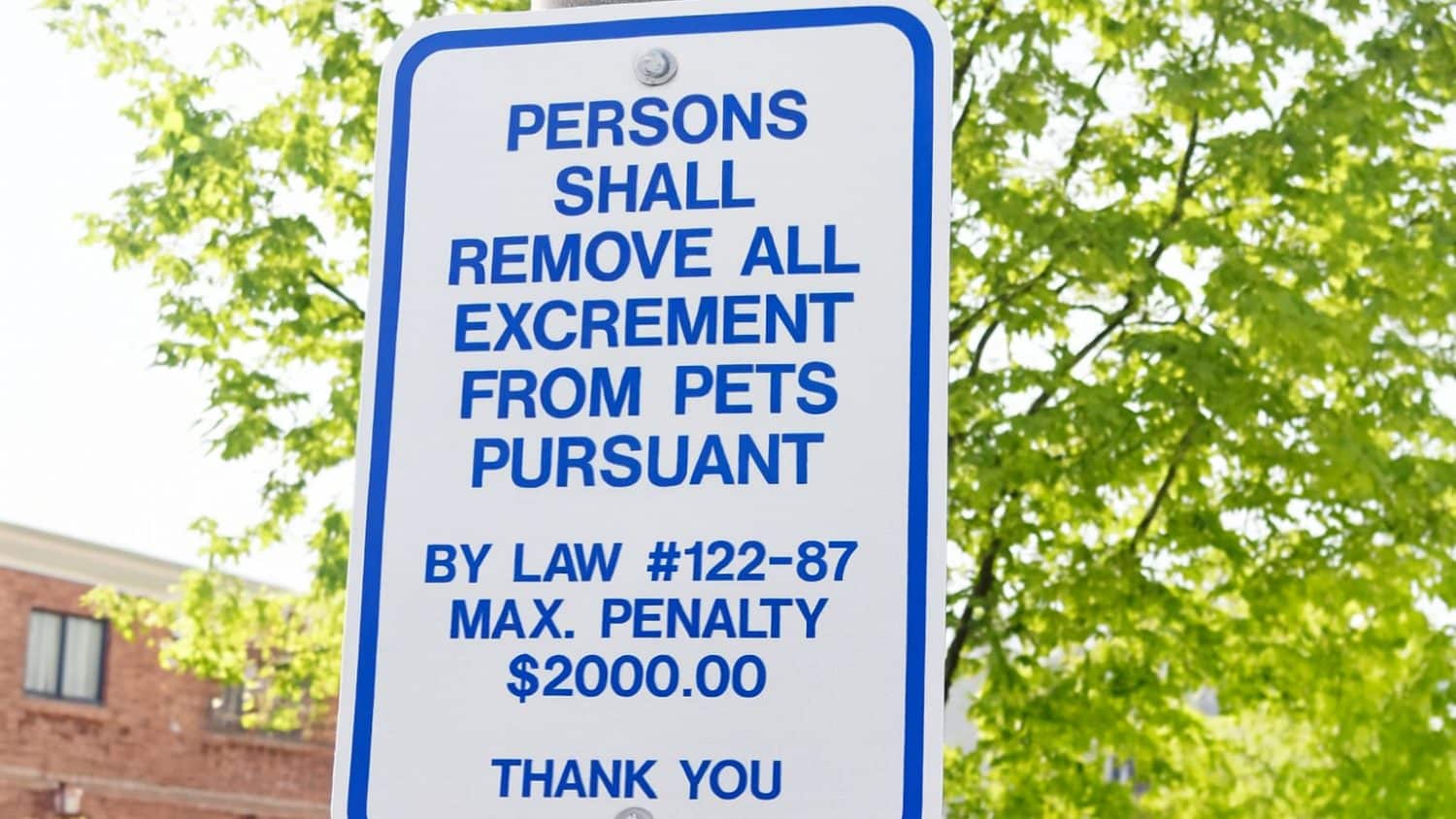PersonsShall