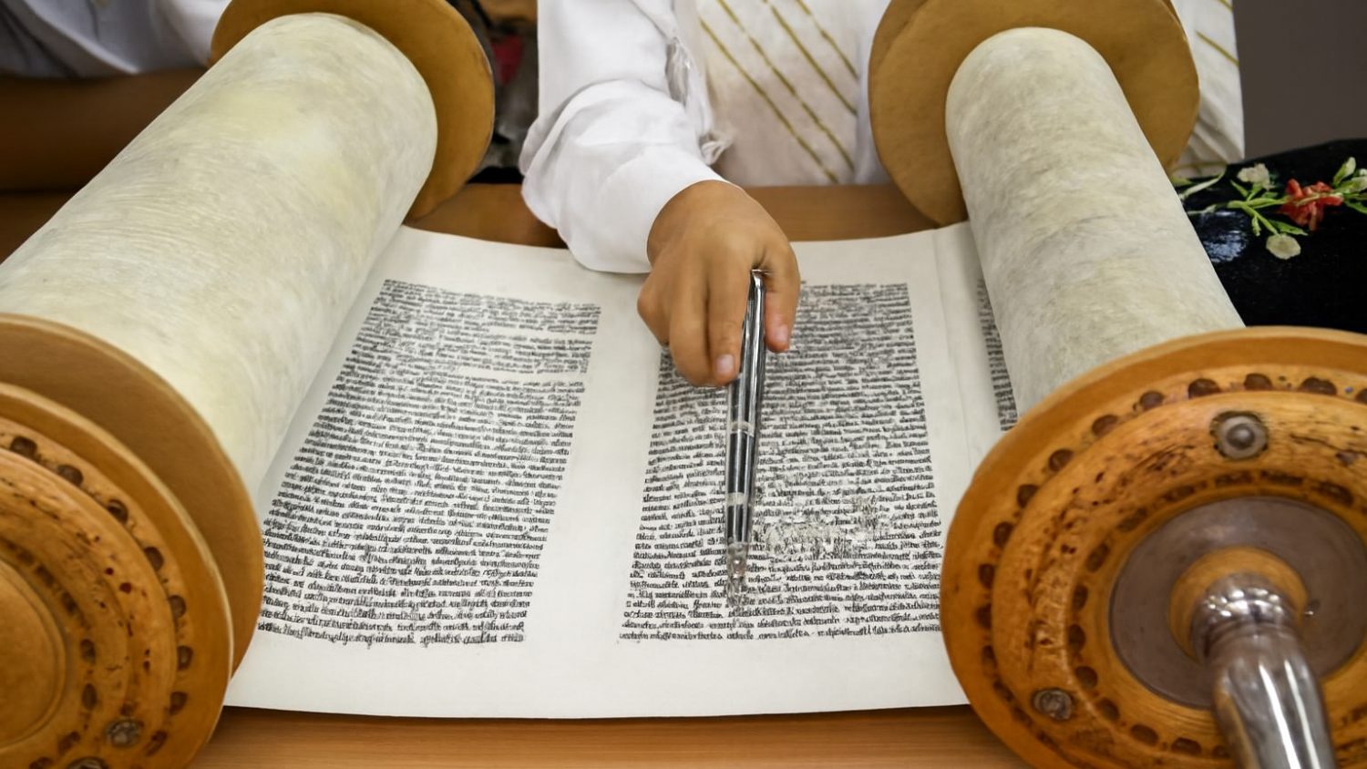 Torah 480w